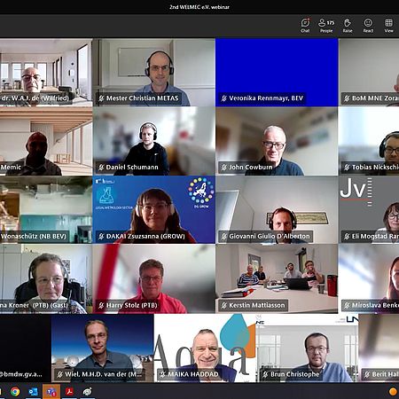 Image shows screenshot with the participants of the webinar